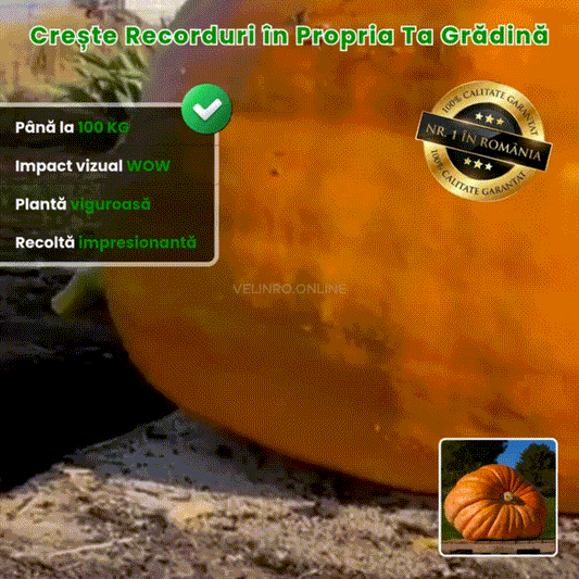 Dovleac Gigant de Grădină